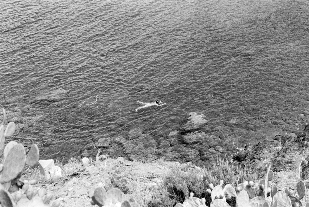 a black and white photo of a person swimming in the water