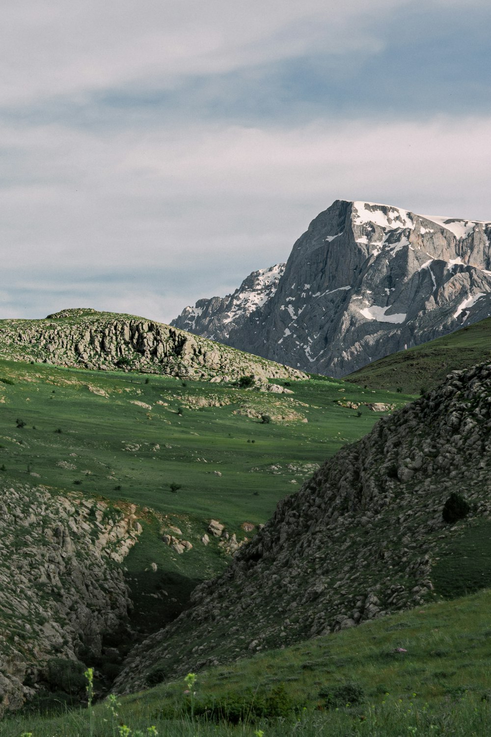 a mountain range with a horse grazing in the foreground