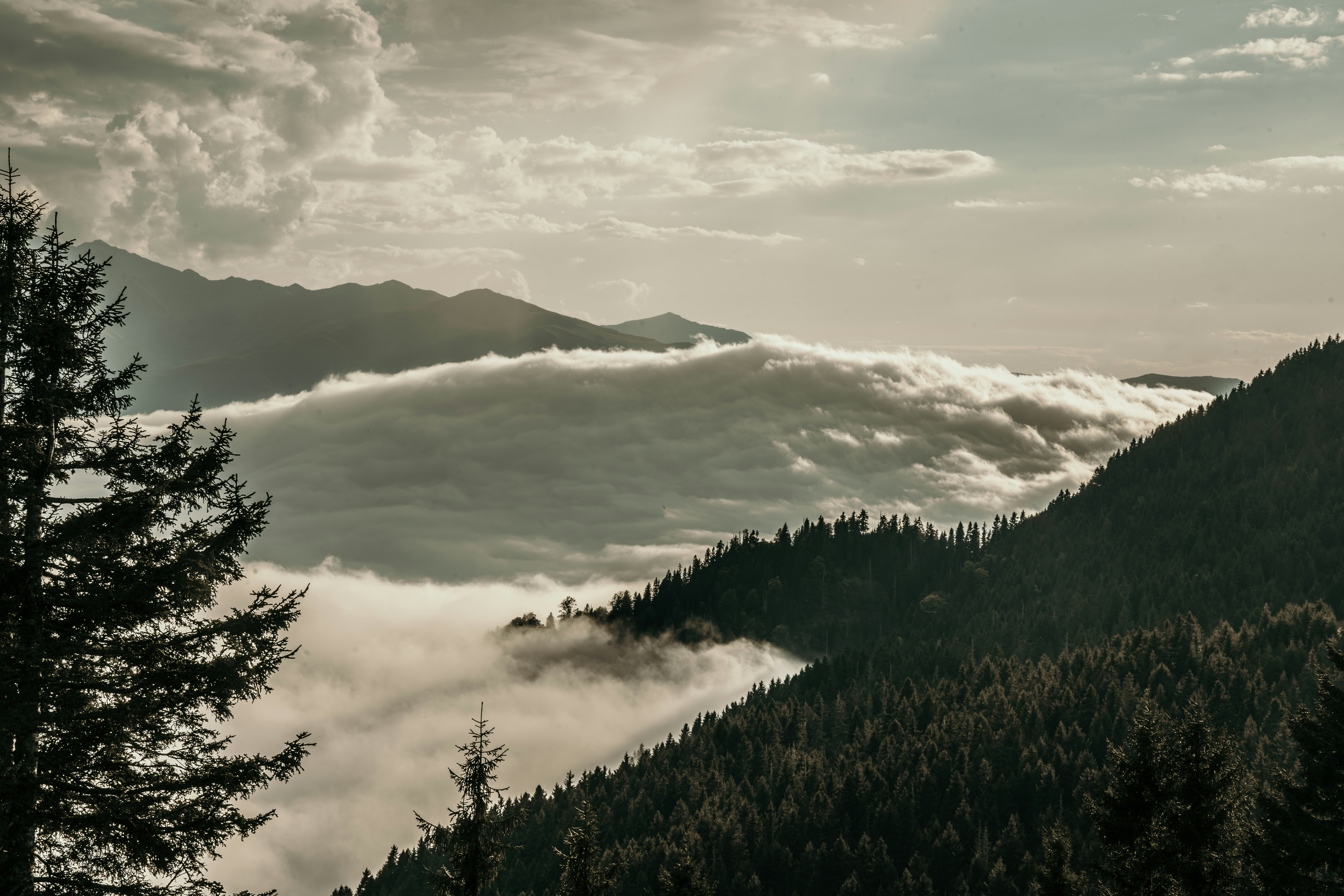 Photo by travelerchitect