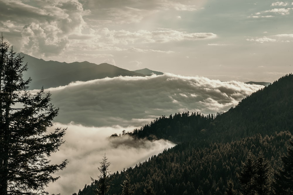 a mountain covered in clouds and trees under a cloudy sky