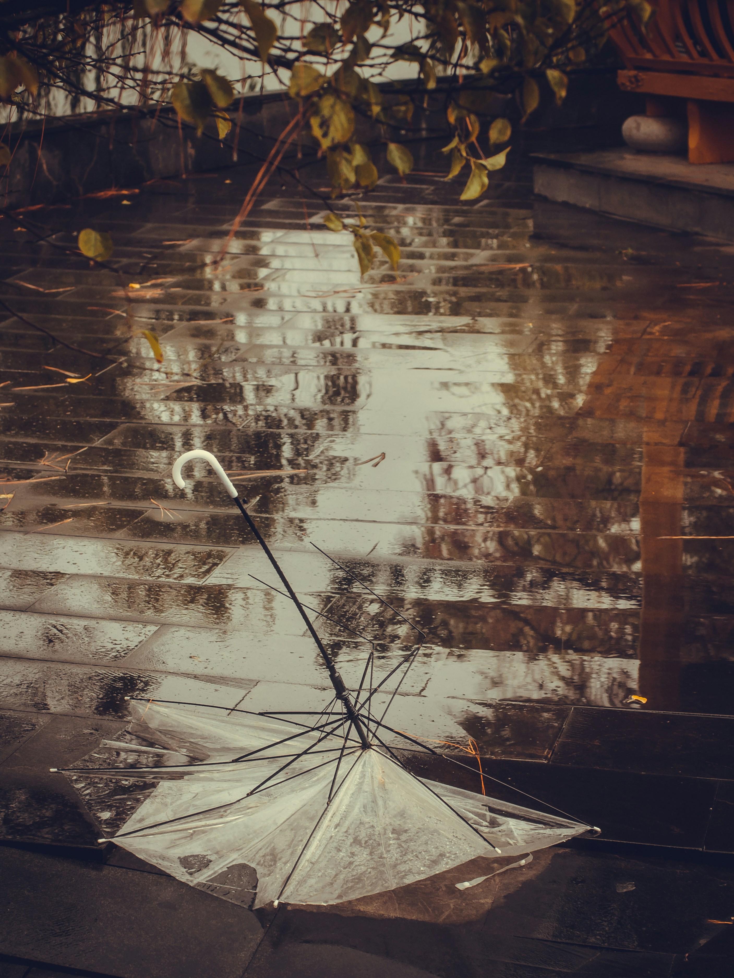 Umberella Pictures | Download Free Images on Unsplash