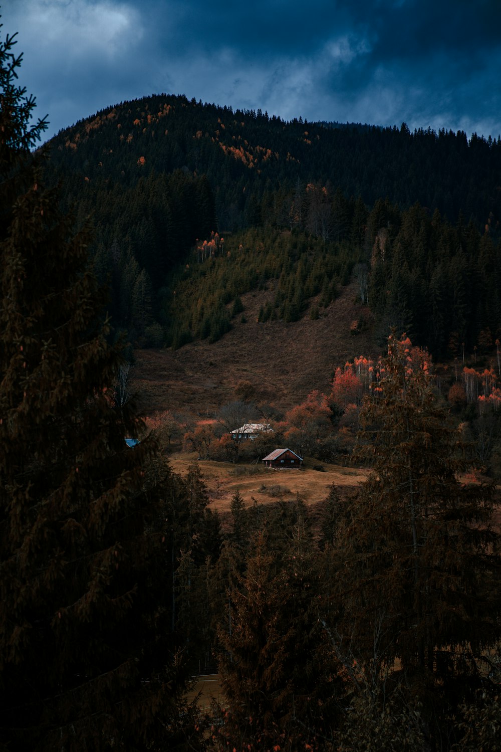 Une maison au milieu d’un champ entouré d’arbres