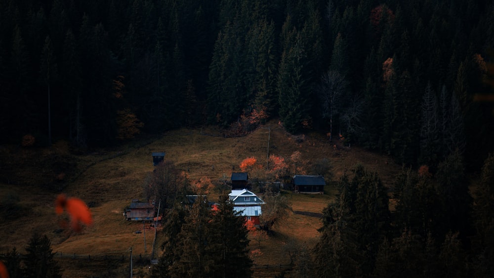 Une vue aérienne d’une maison dans les bois