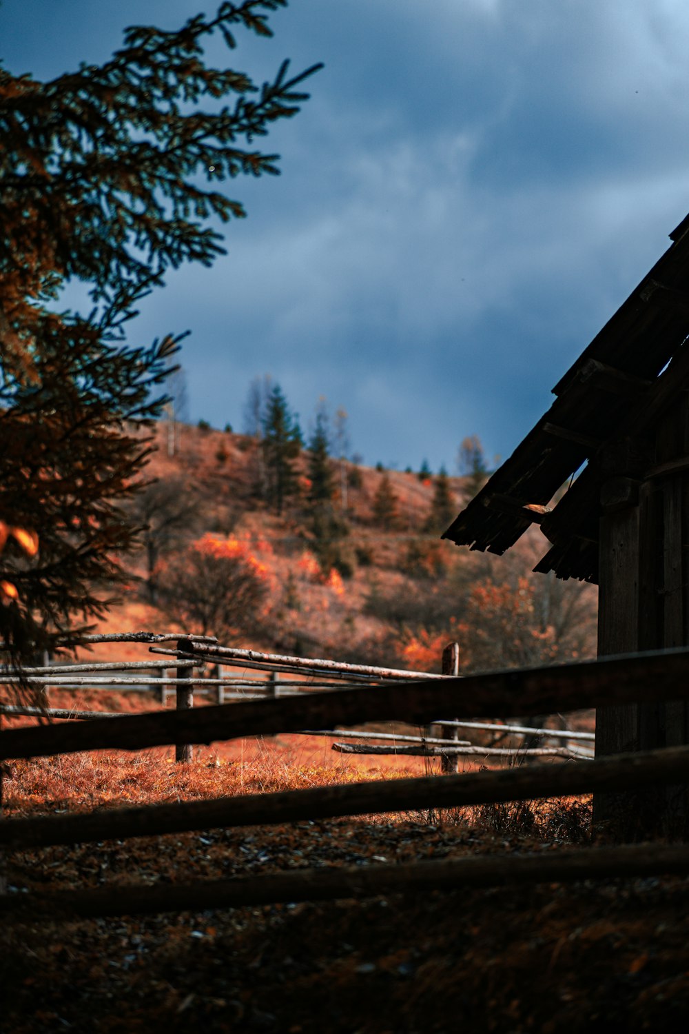 a barn in a field with trees in the background