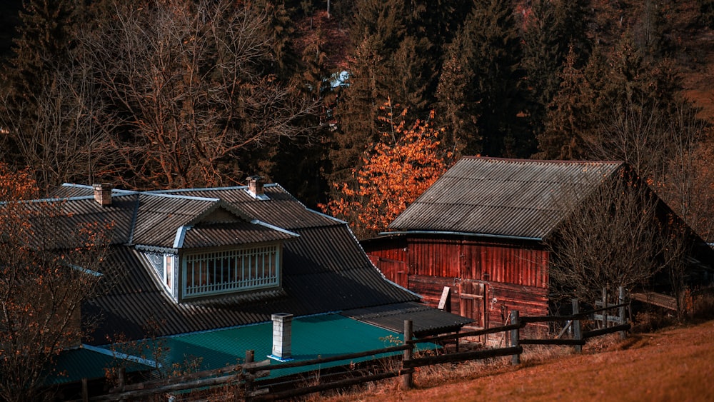 a house in the woods with a pool in front of it