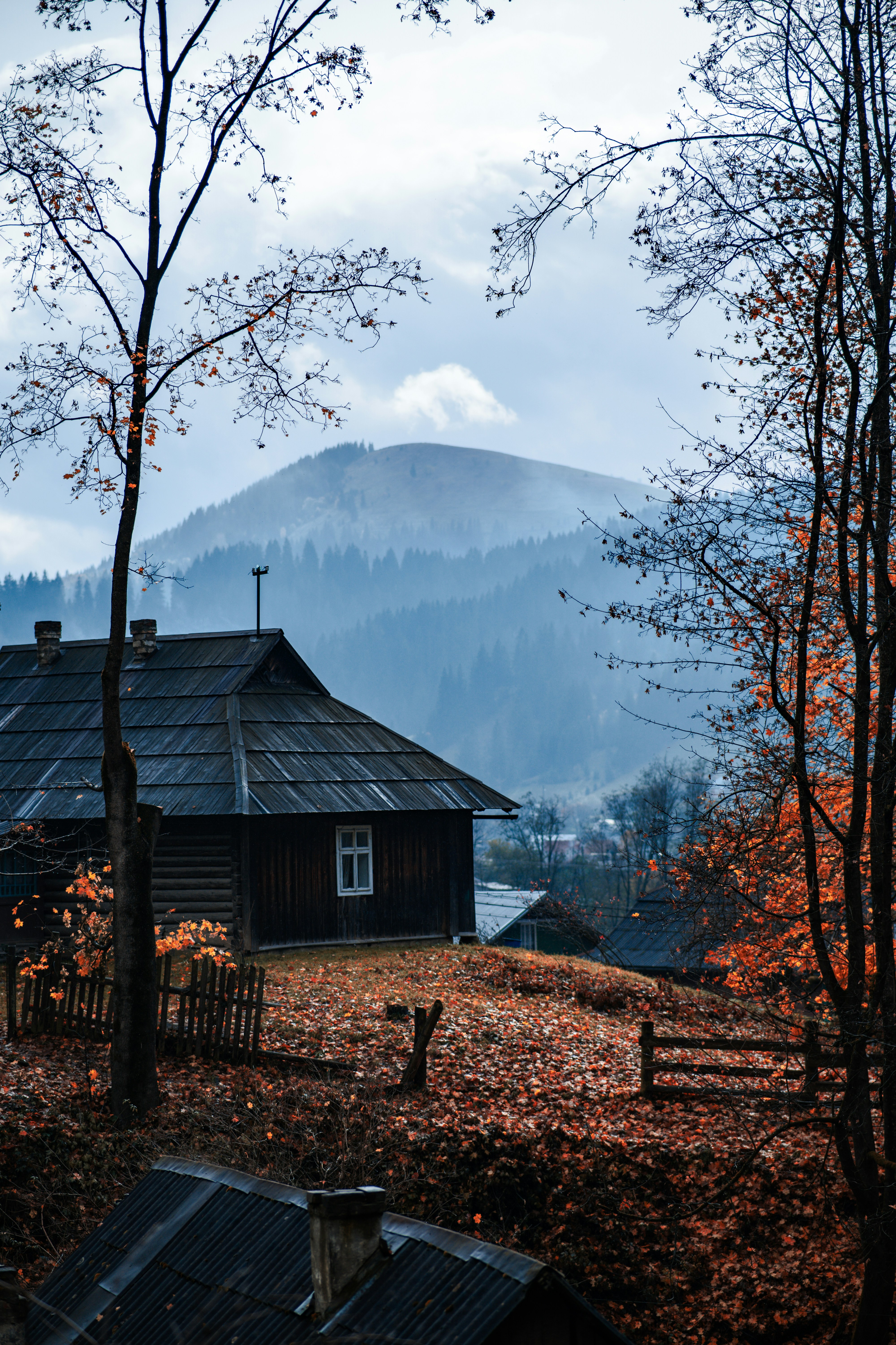 Photo by eugenechystiakov