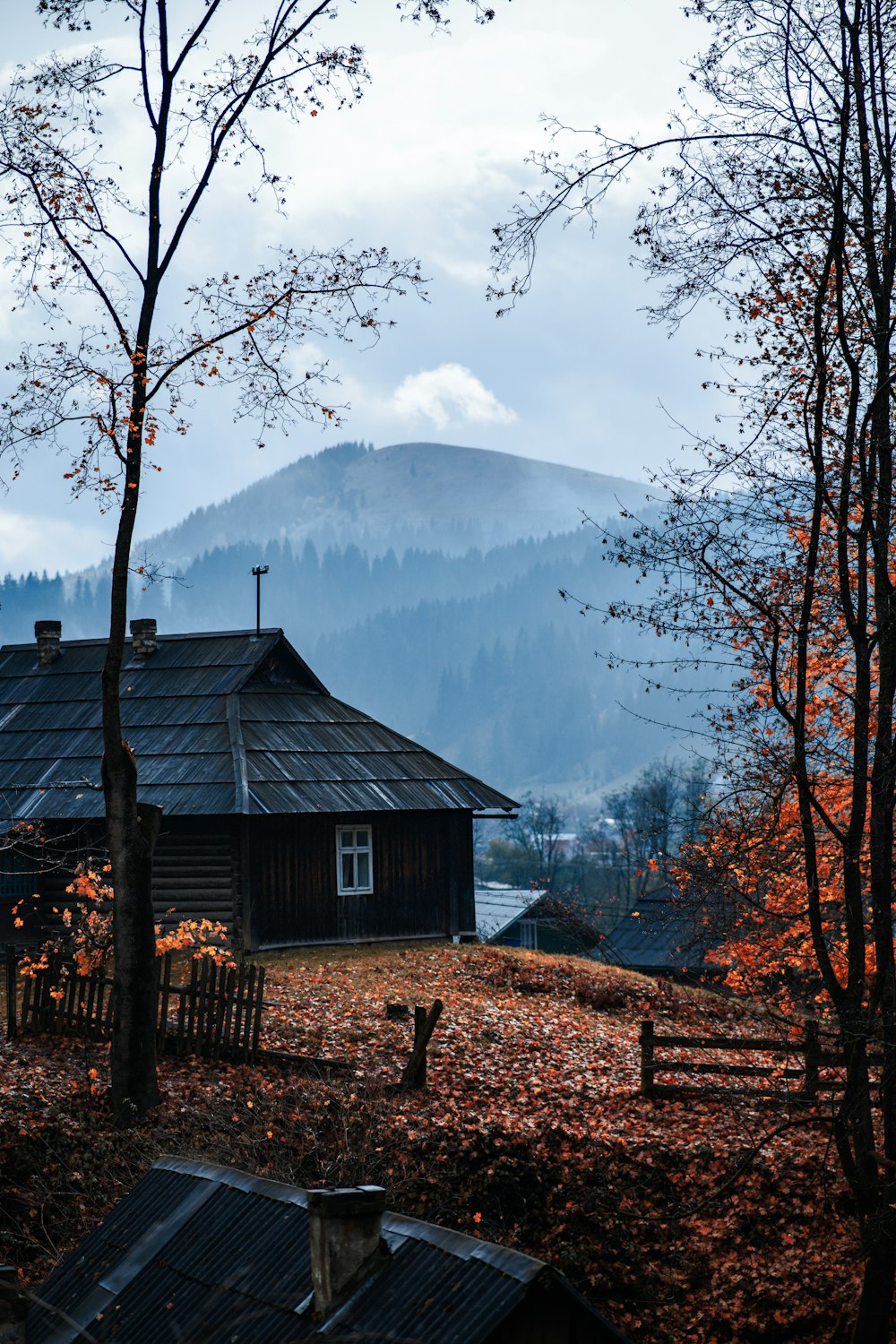 a house in the woods with a mountain in the background