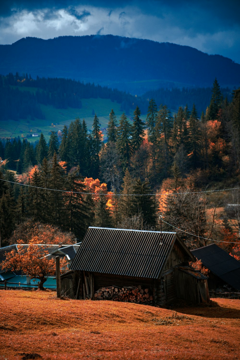 a barn in a field with a mountain in the background