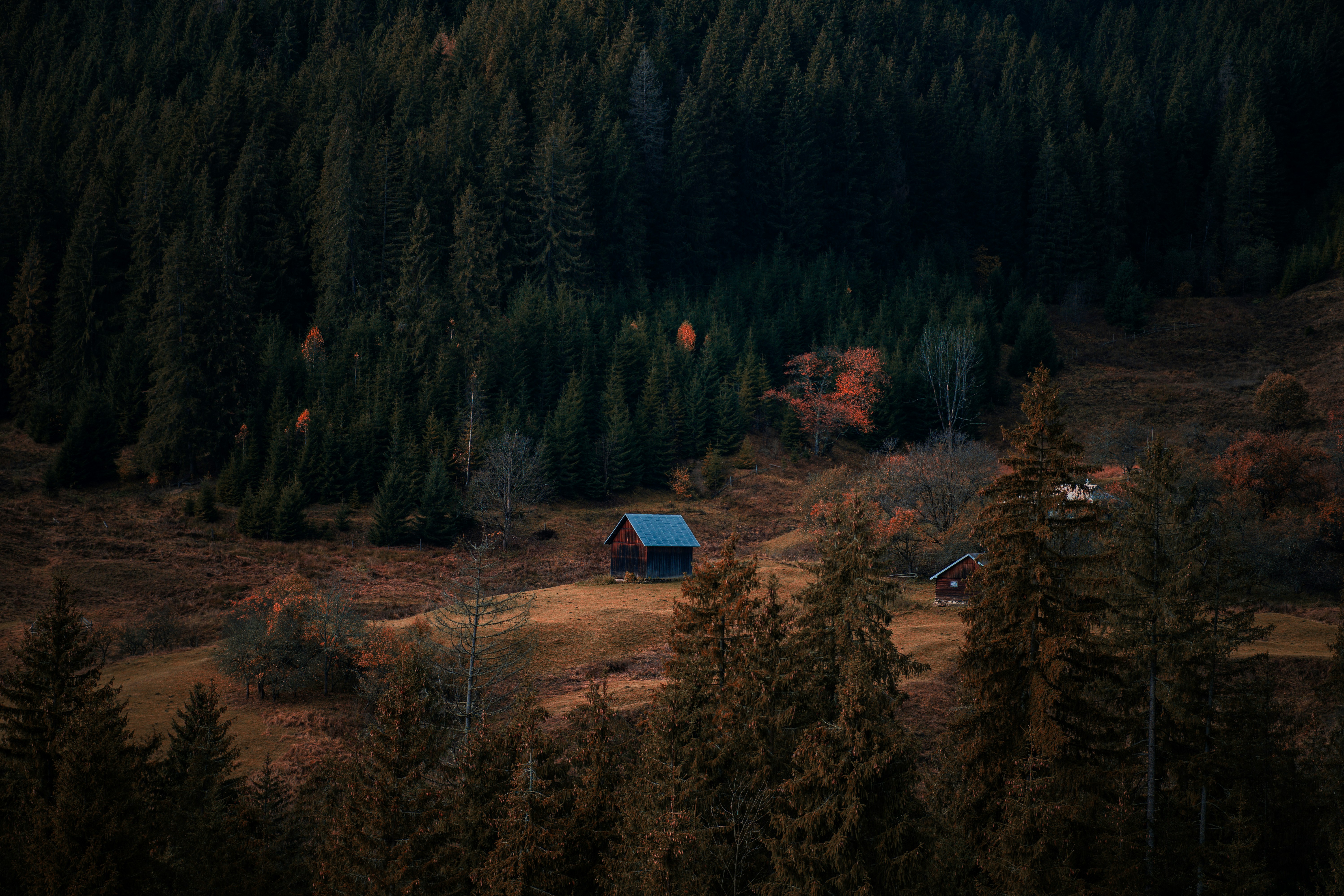 a small cabin in the middle of a forest