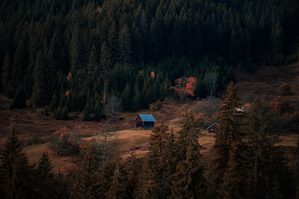 a small cabin in the middle of a forest