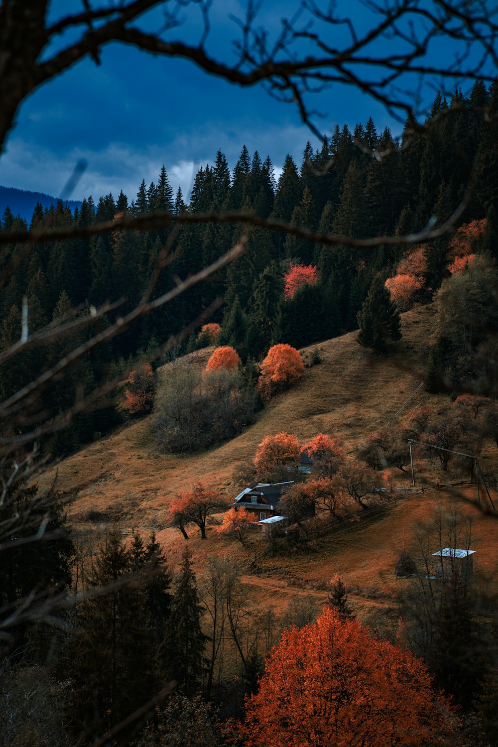 a house on a hill surrounded by trees