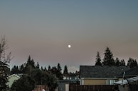 A serene evening view of suburban houses beneath a clear sky. The moon is visible, casting a soft glow over silhouetted pine trees and rooftops. The scene conveys a calm and peaceful atmosphere.