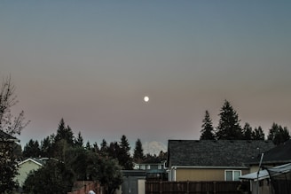 A serene evening view of suburban houses beneath a clear sky. The moon is visible, casting a soft glow over silhouetted pine trees and rooftops. The scene conveys a calm and peaceful atmosphere.