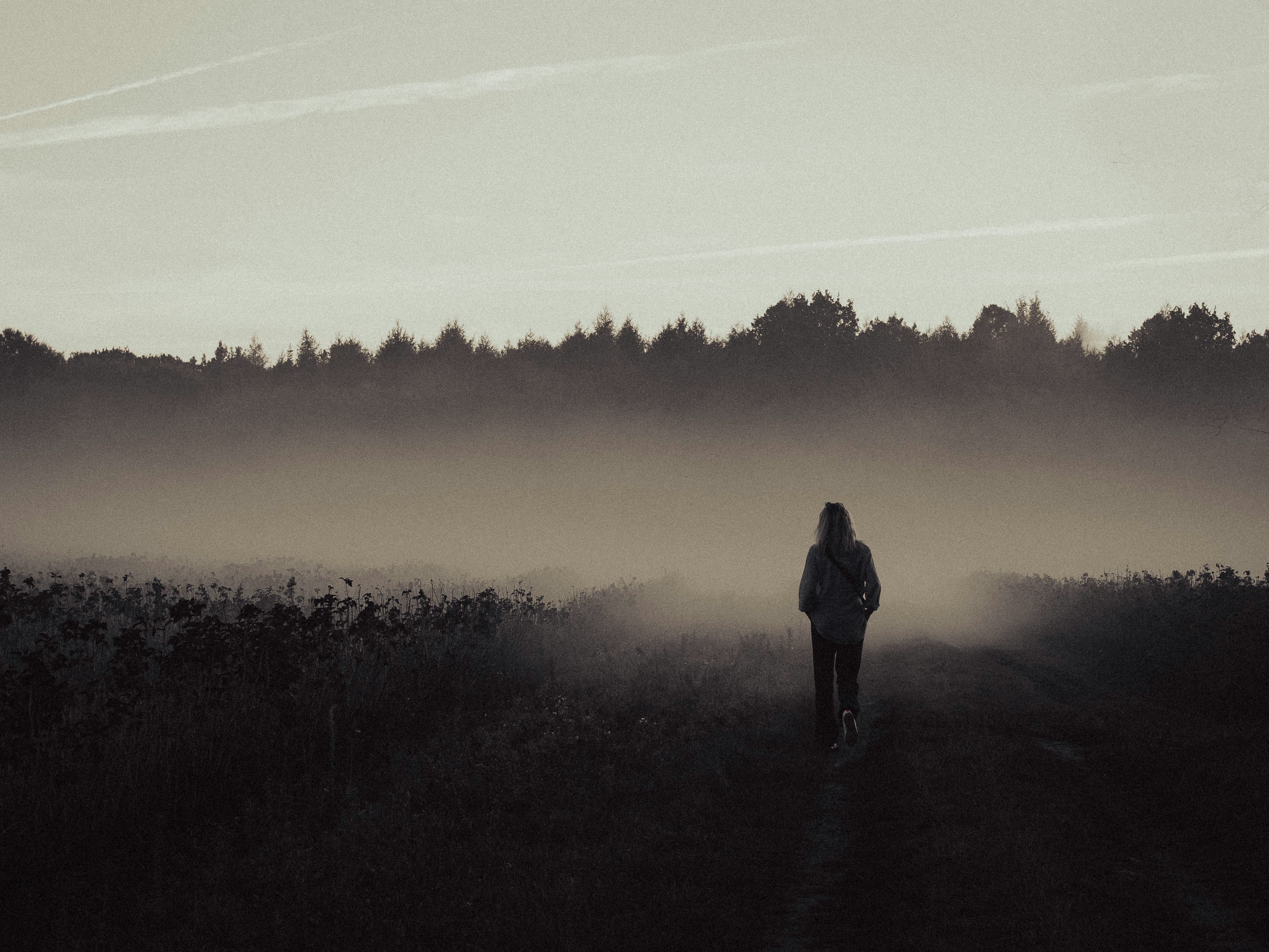 Photo by zemanmikolaj