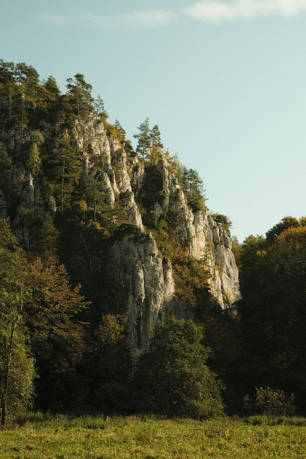 a horse is grazing in a field near a mountain