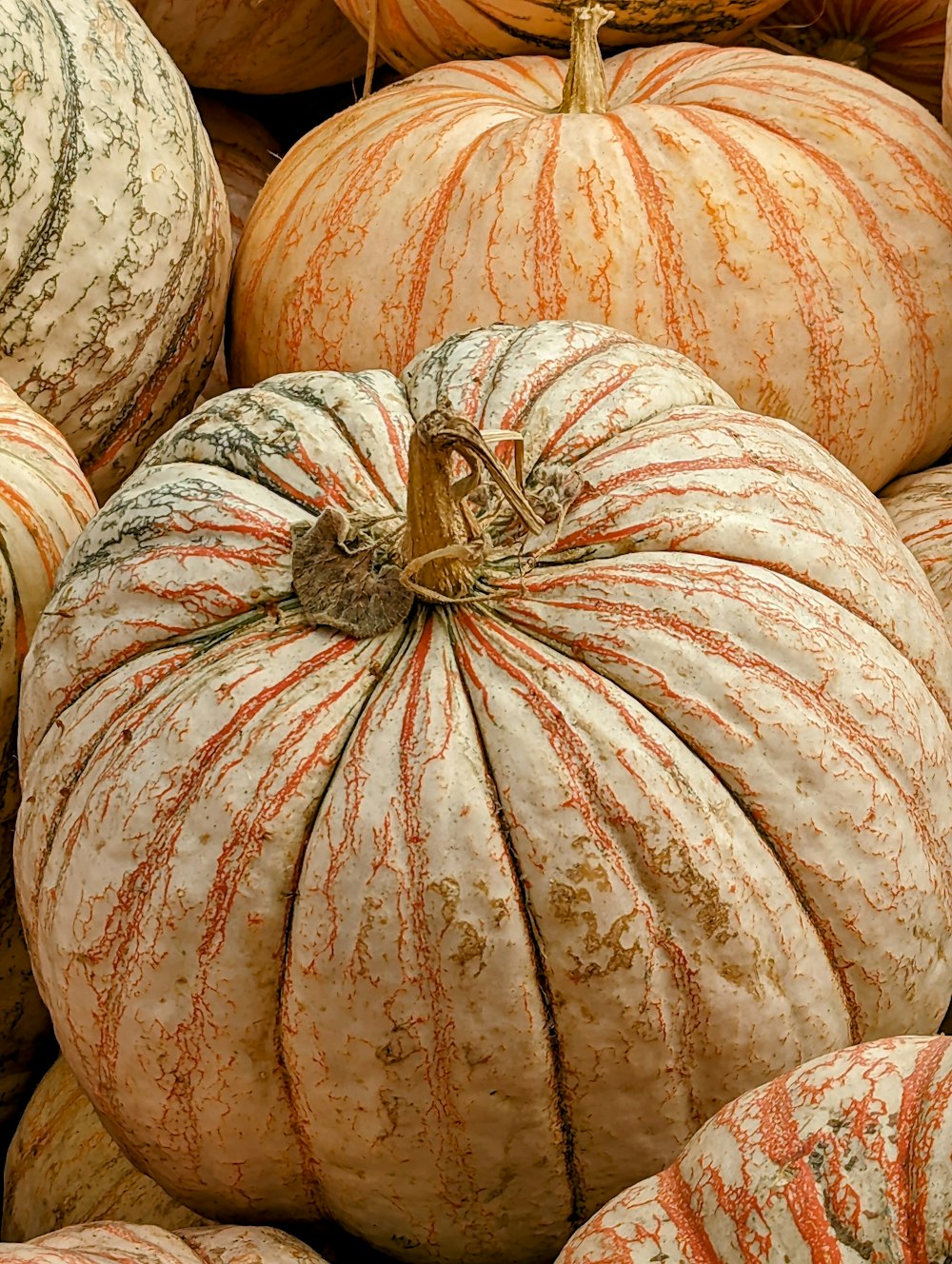 a pile of pumpkins sitting next to each other