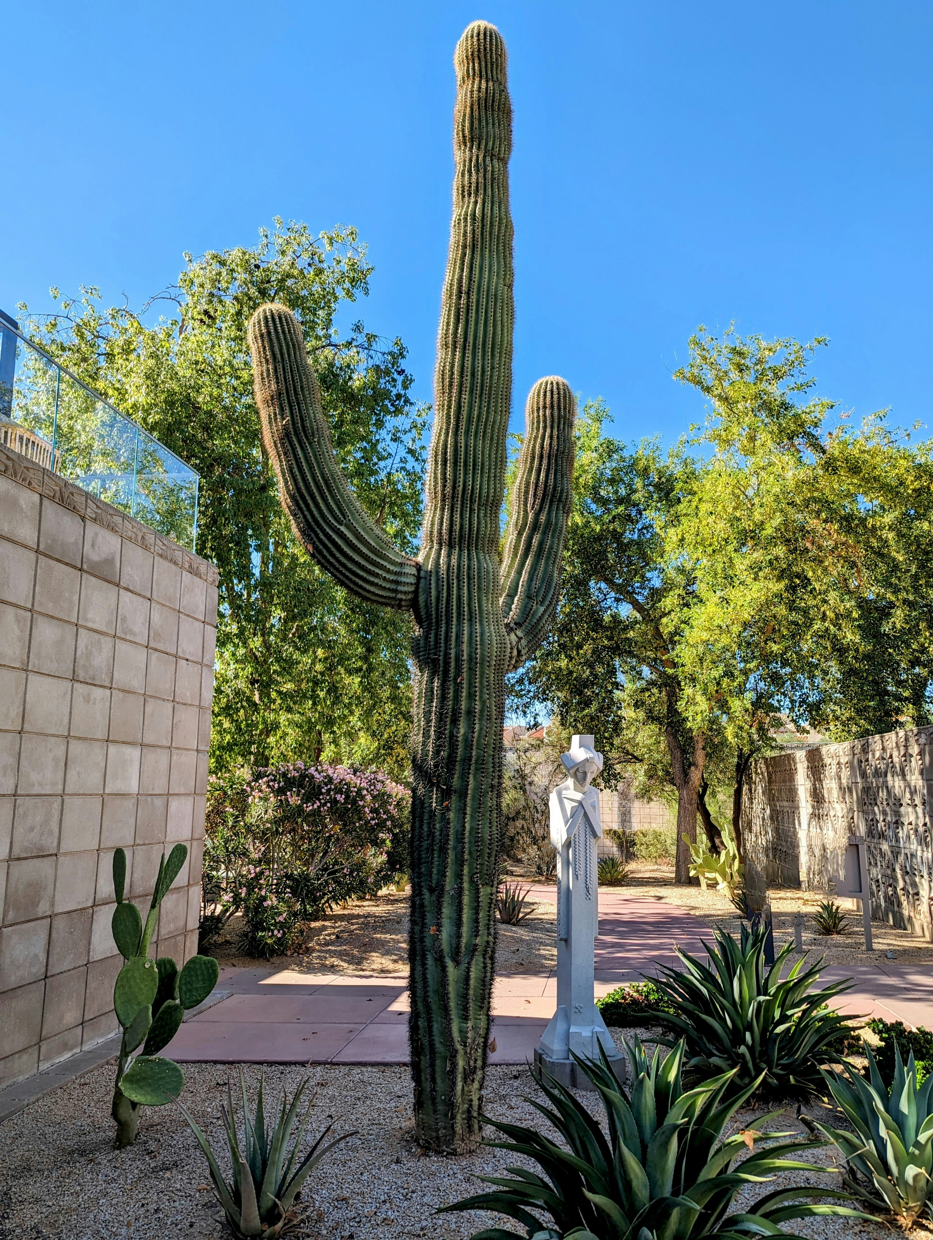 a large cactus next to a white statue