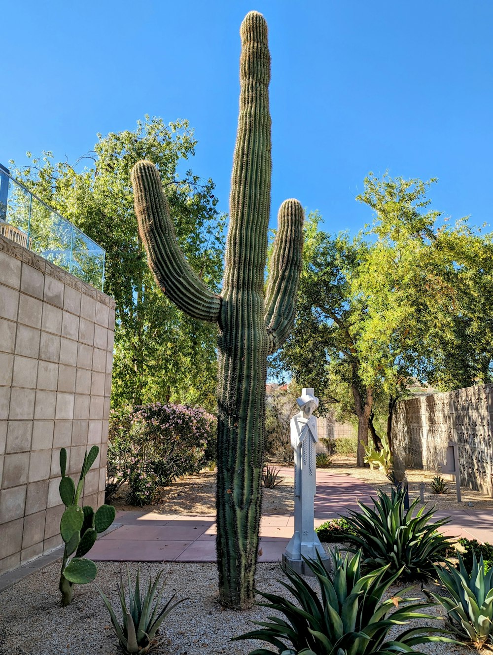 a large cactus next to a white statue