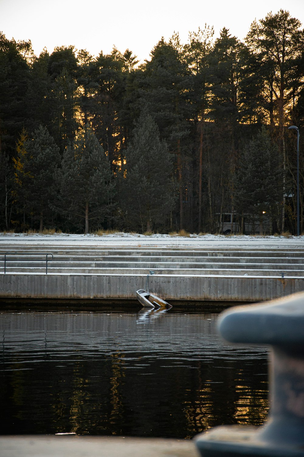 Un pájaro sentado en el borde de un cuerpo de agua