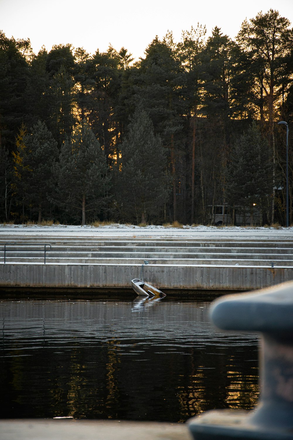 a bird sitting on the edge of a body of water