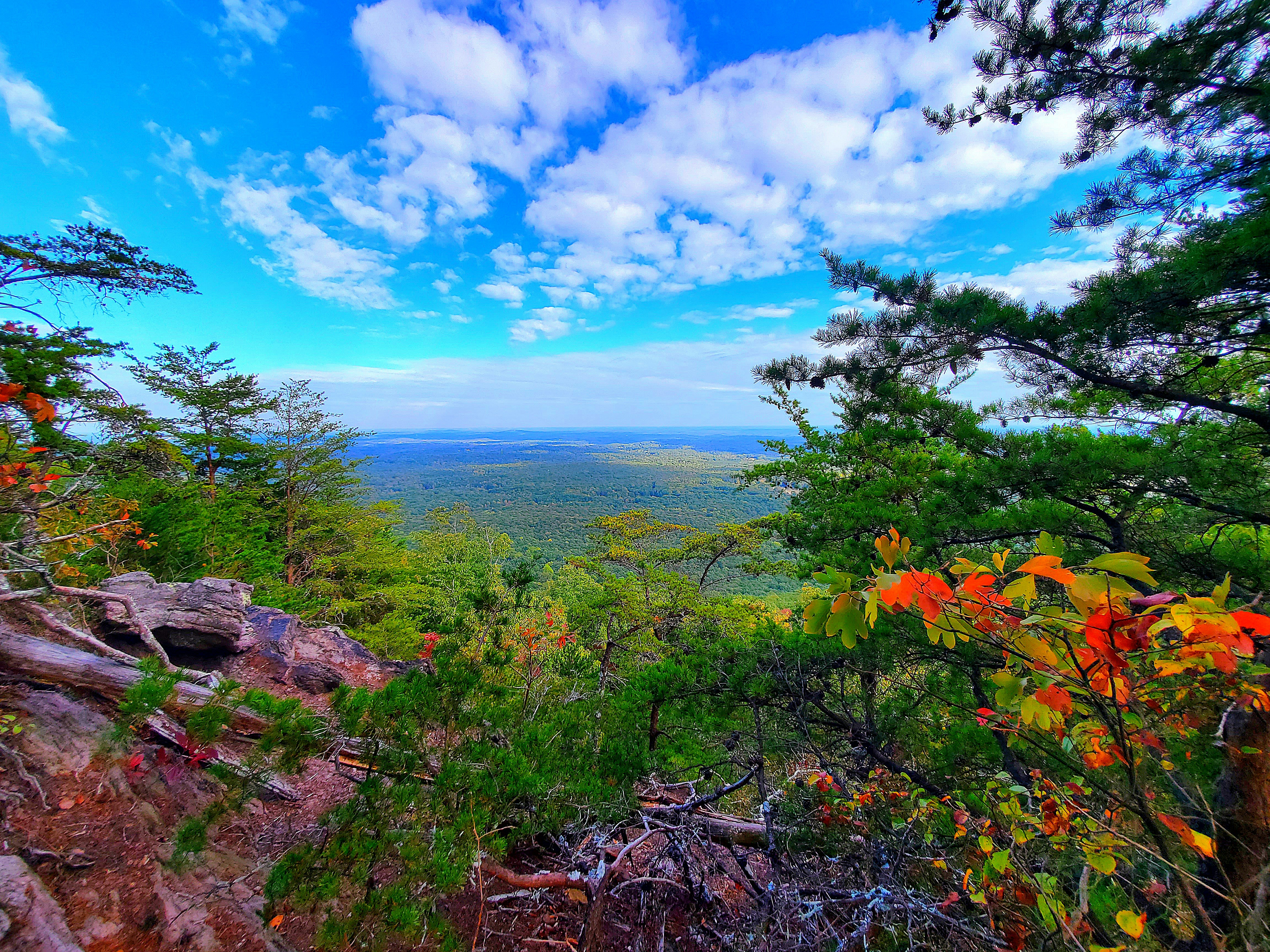 a scenic view of a valley and trees