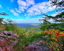 a scenic view of a valley and trees