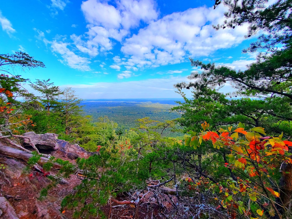 a scenic view of a valley and trees