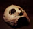 Close-up of a dark, textured papier-mâché horror mask with cracked bone-like finish.