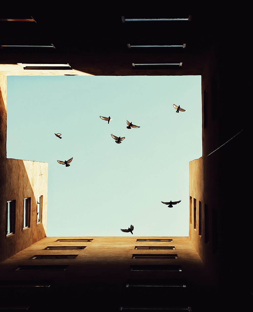 a group of birds flying over a building