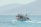A boat filled with passengers travels across a calm sea with mountains in the background. A Greek flag waves at the stern of the boat, and several people are gathered on deck, enjoying the ride.