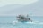 A boat filled with passengers travels across a calm sea with mountains in the background. A Greek flag waves at the stern of the boat, and several people are gathered on deck, enjoying the ride.
