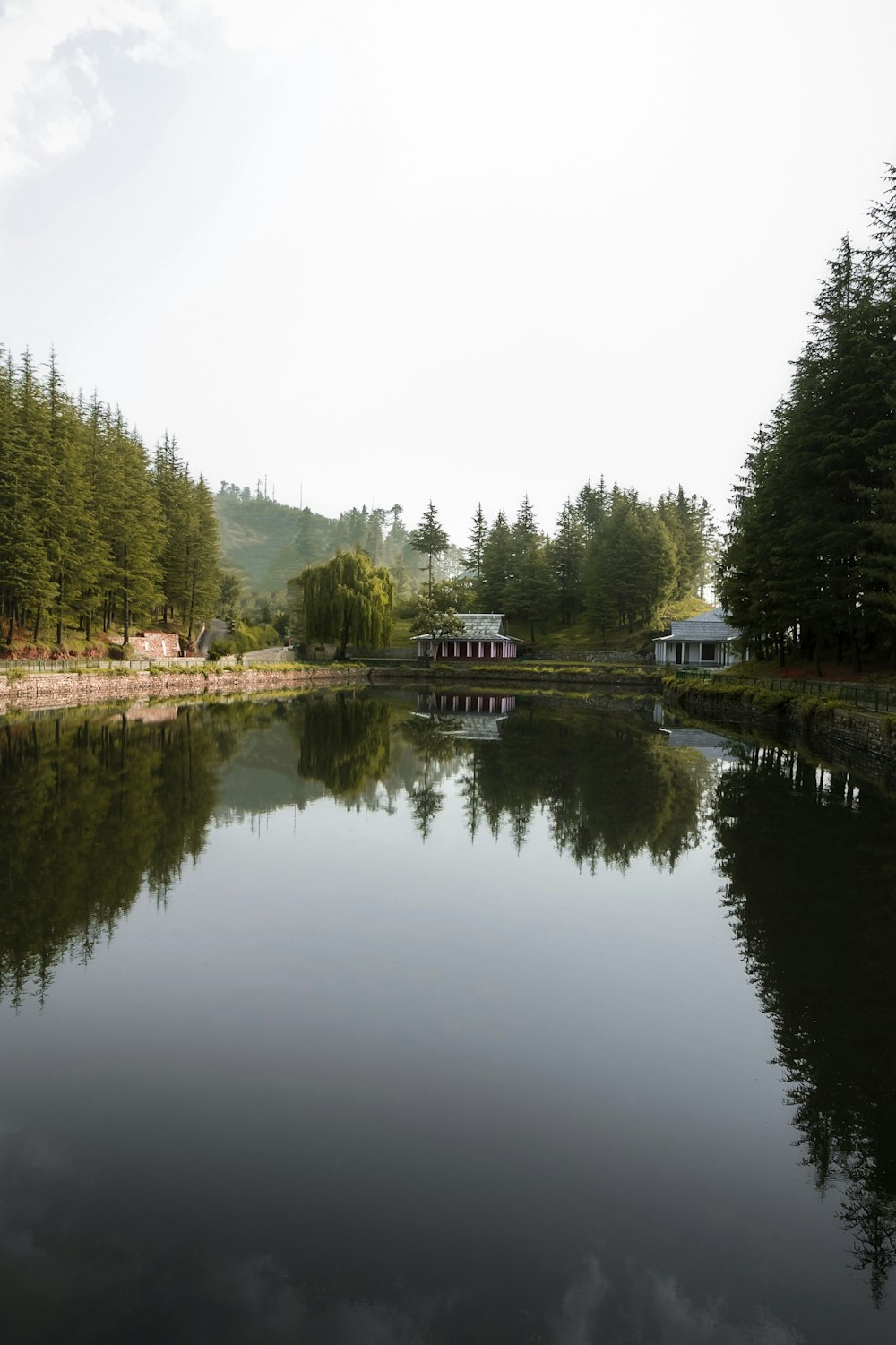 a body of water surrounded by a forest