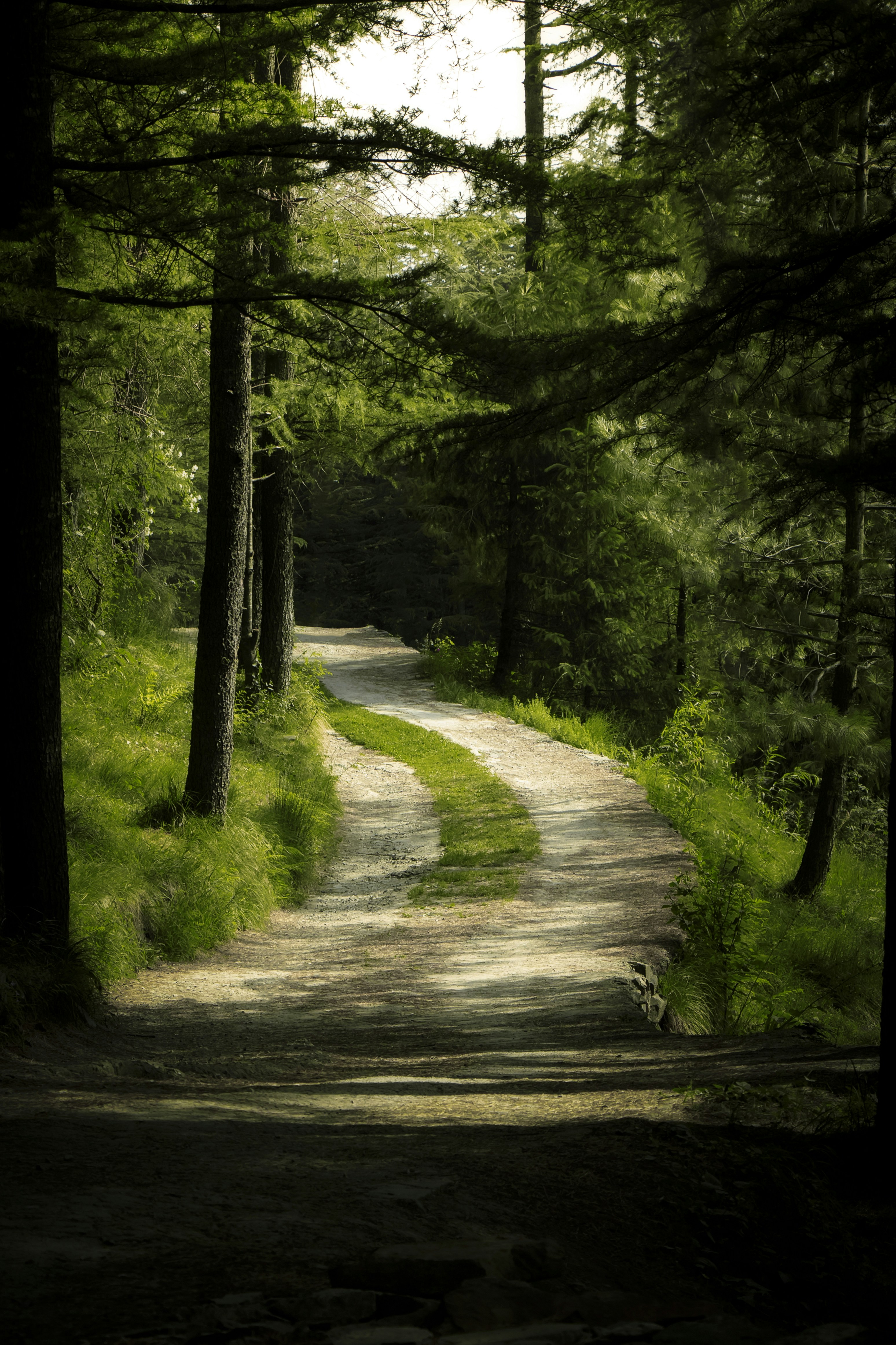 Photo by chirvisuals