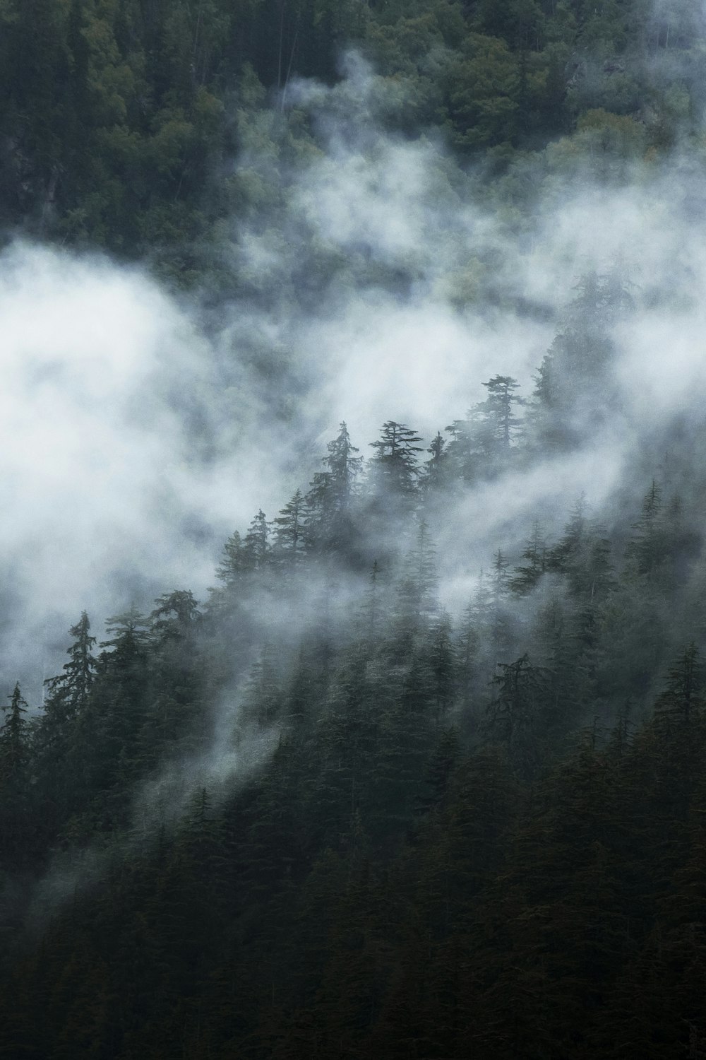 Ein in Nebel gehüllter Berg mit Bäumen im Hintergrund