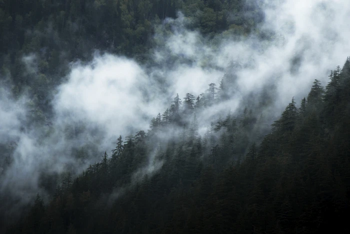 Misty Himalayan foothill view