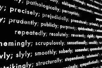 a black and white photo of a computer screen