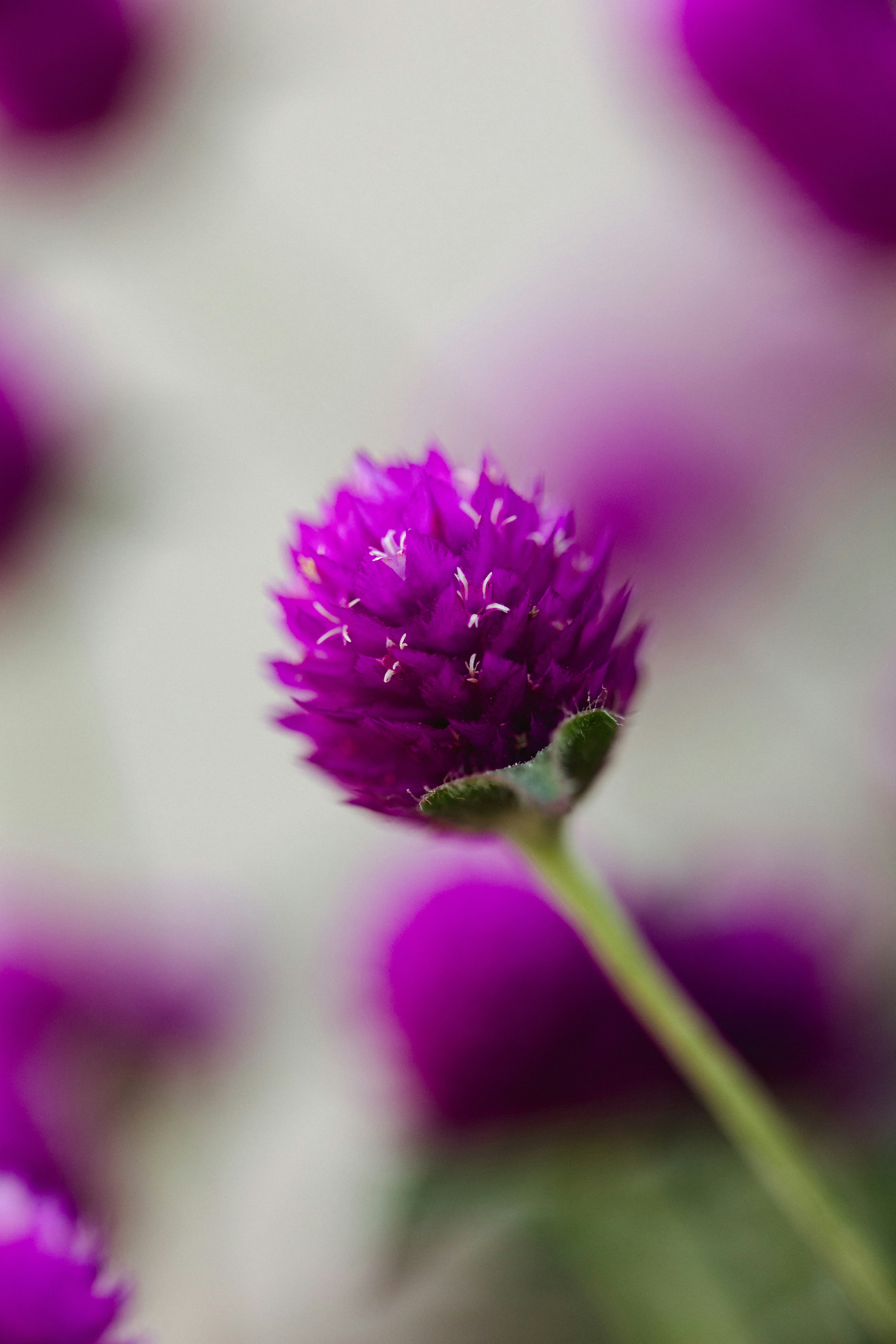 Photo by ninjason