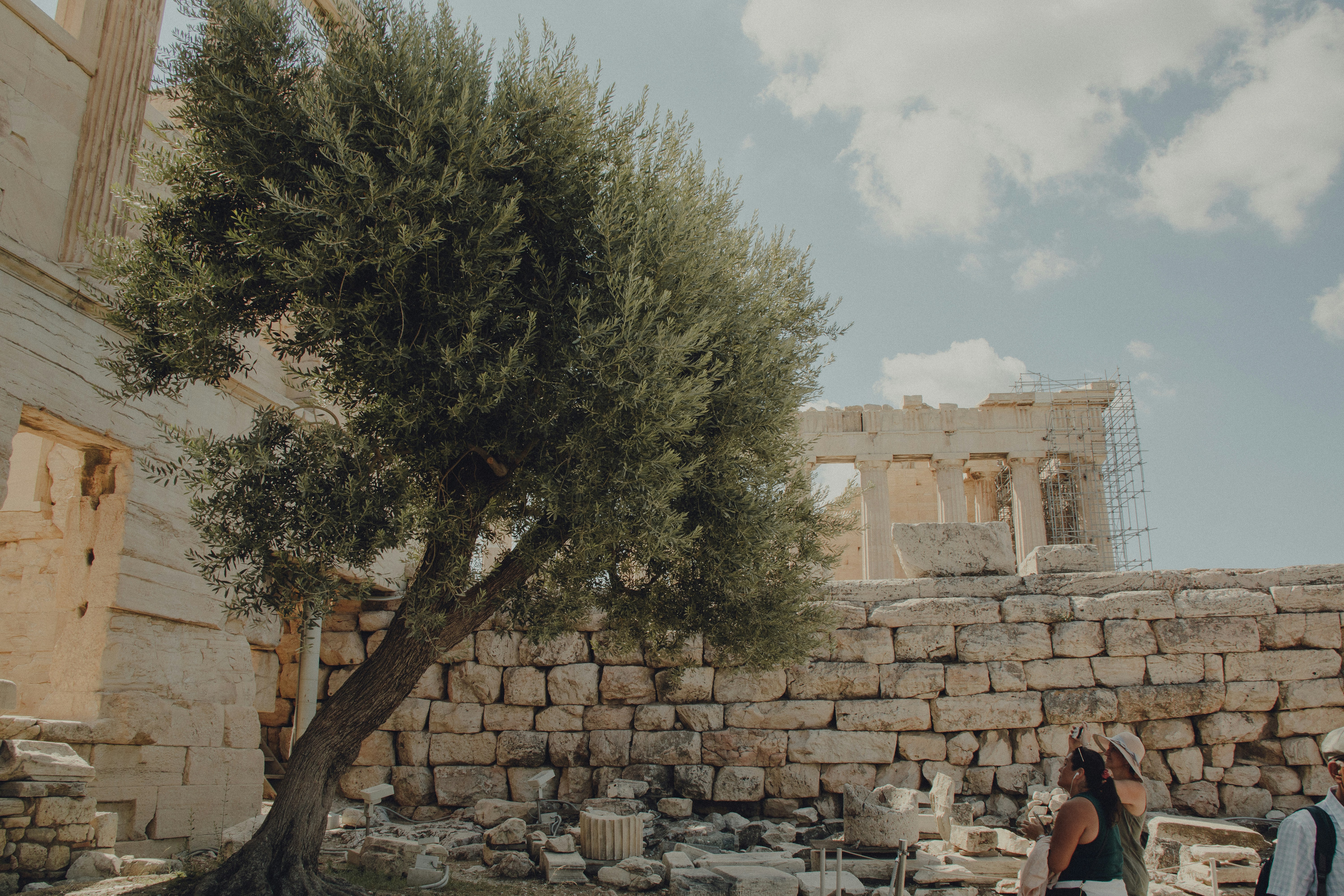 un paio di persone in piedi accanto a un albero