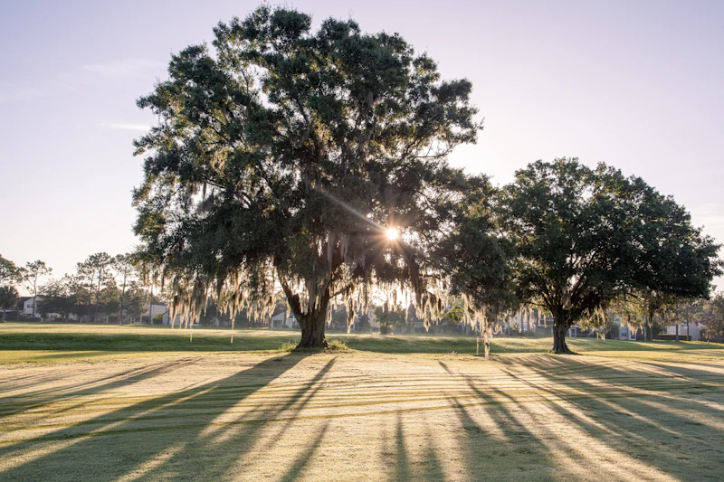 Olive Glenn Golf & Country Club