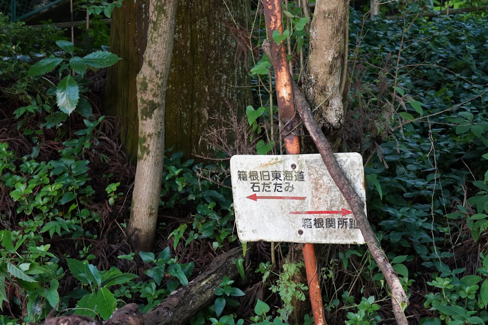 a sign that is in the middle of a forest