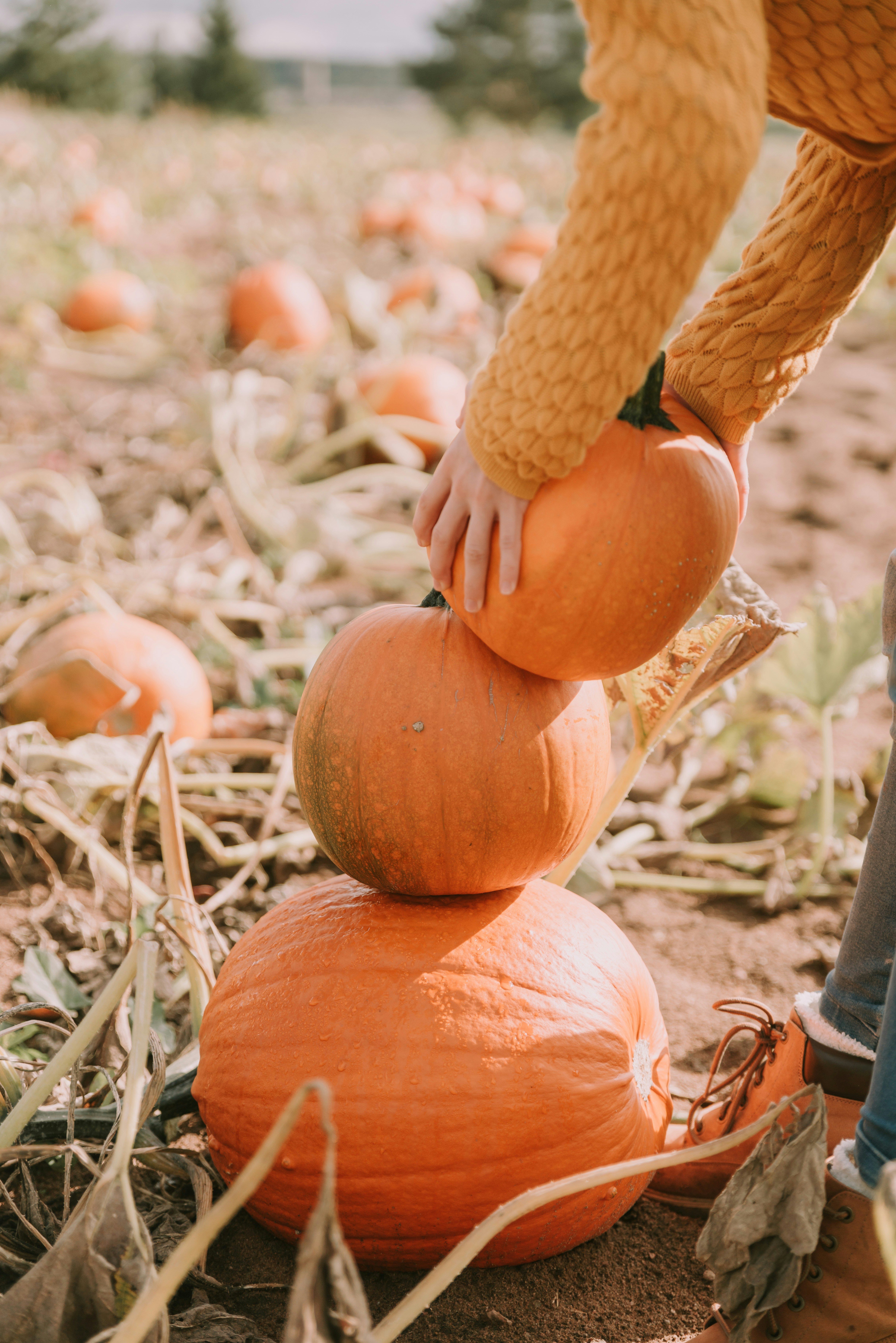 Photo by anitaaustvika