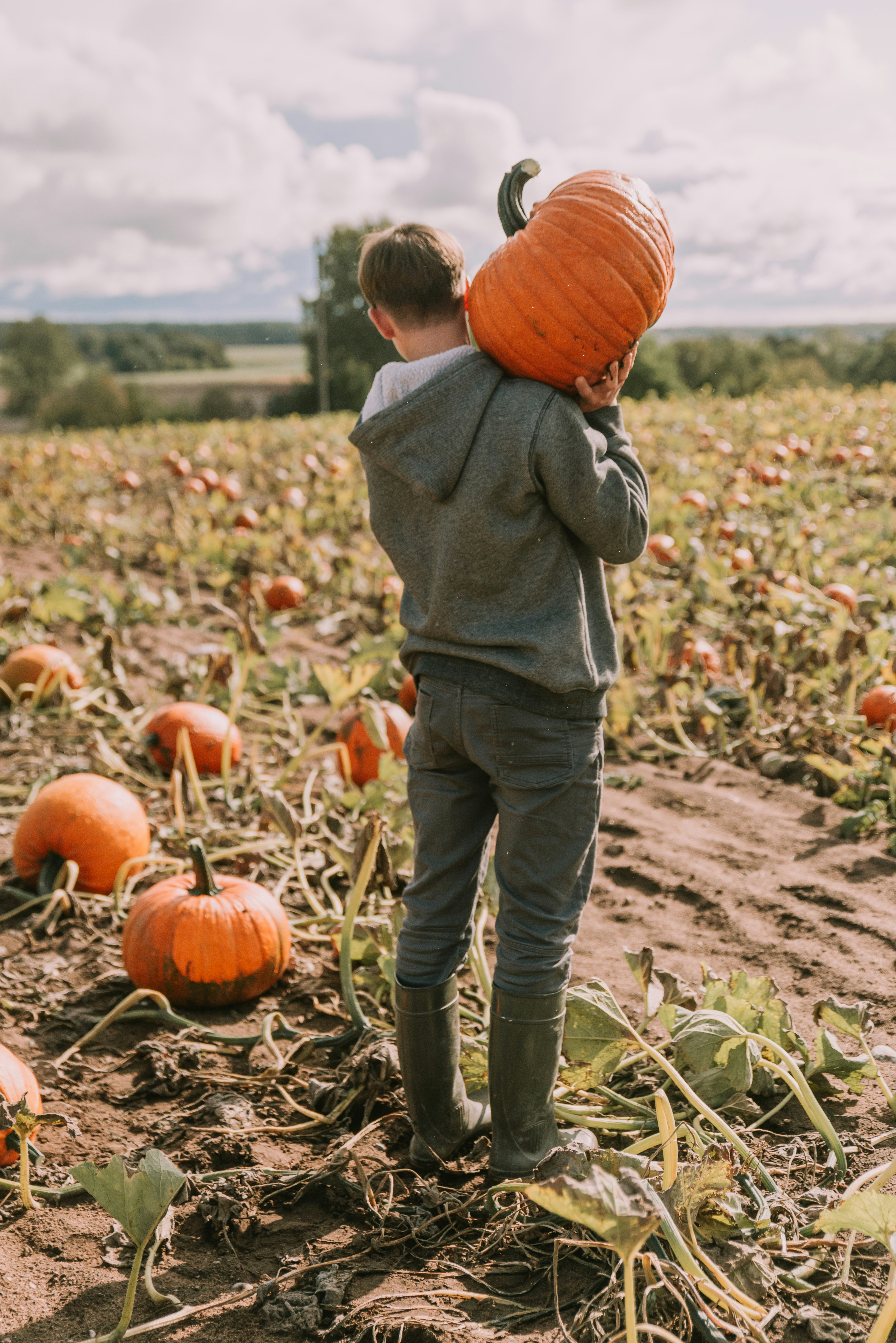 Photo by anitaaustvika