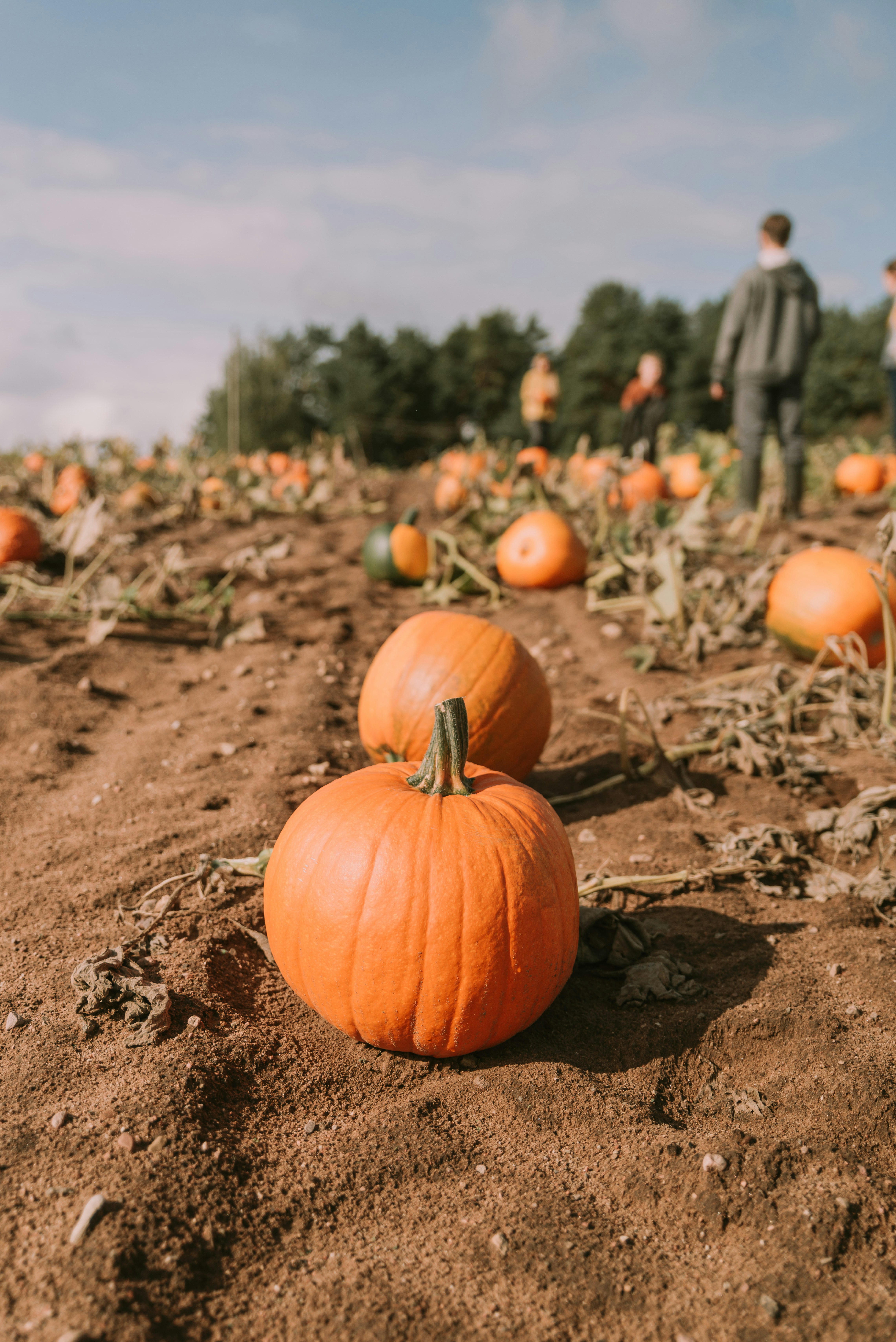 Photo by anitaaustvika