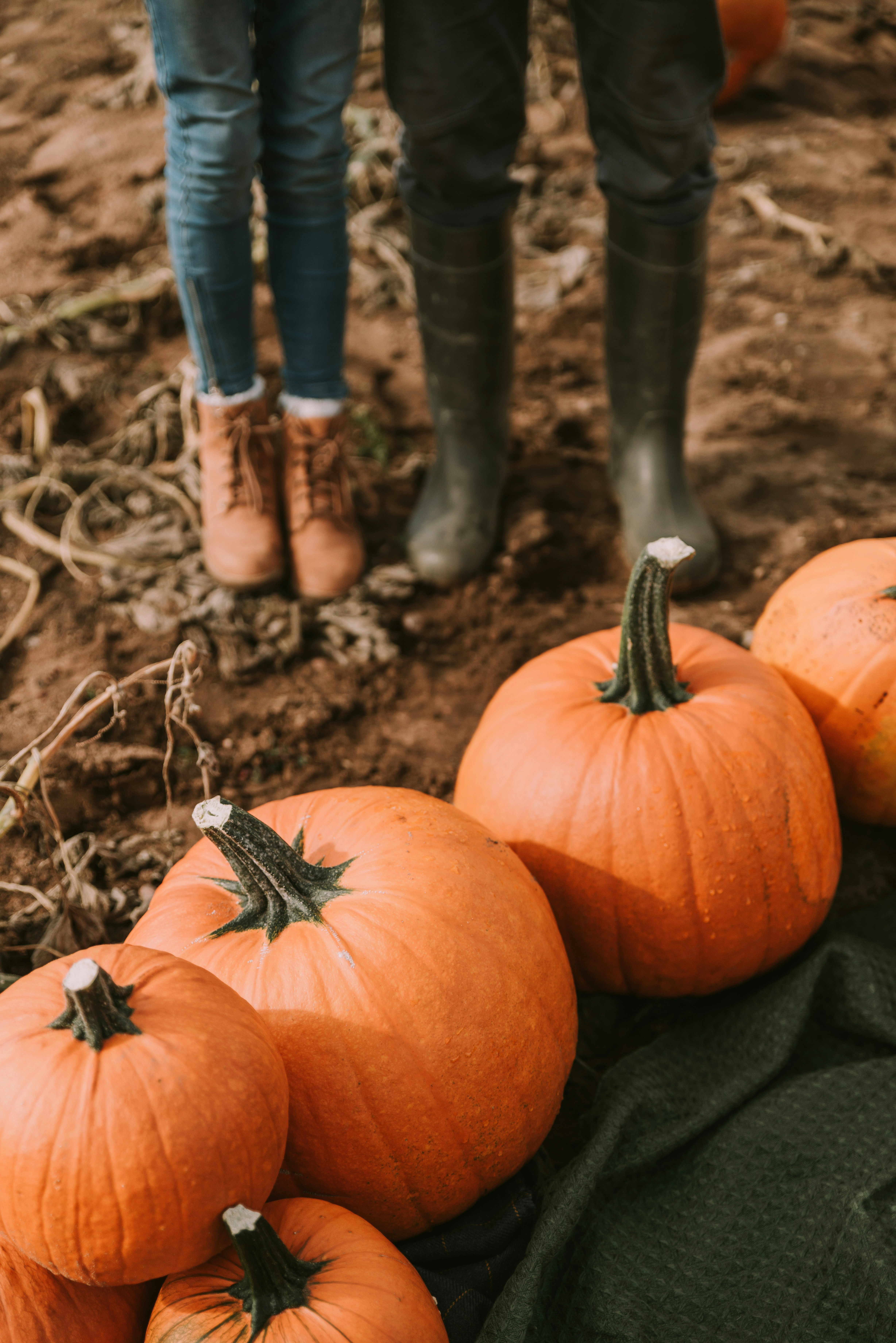 Photo by anitaaustvika