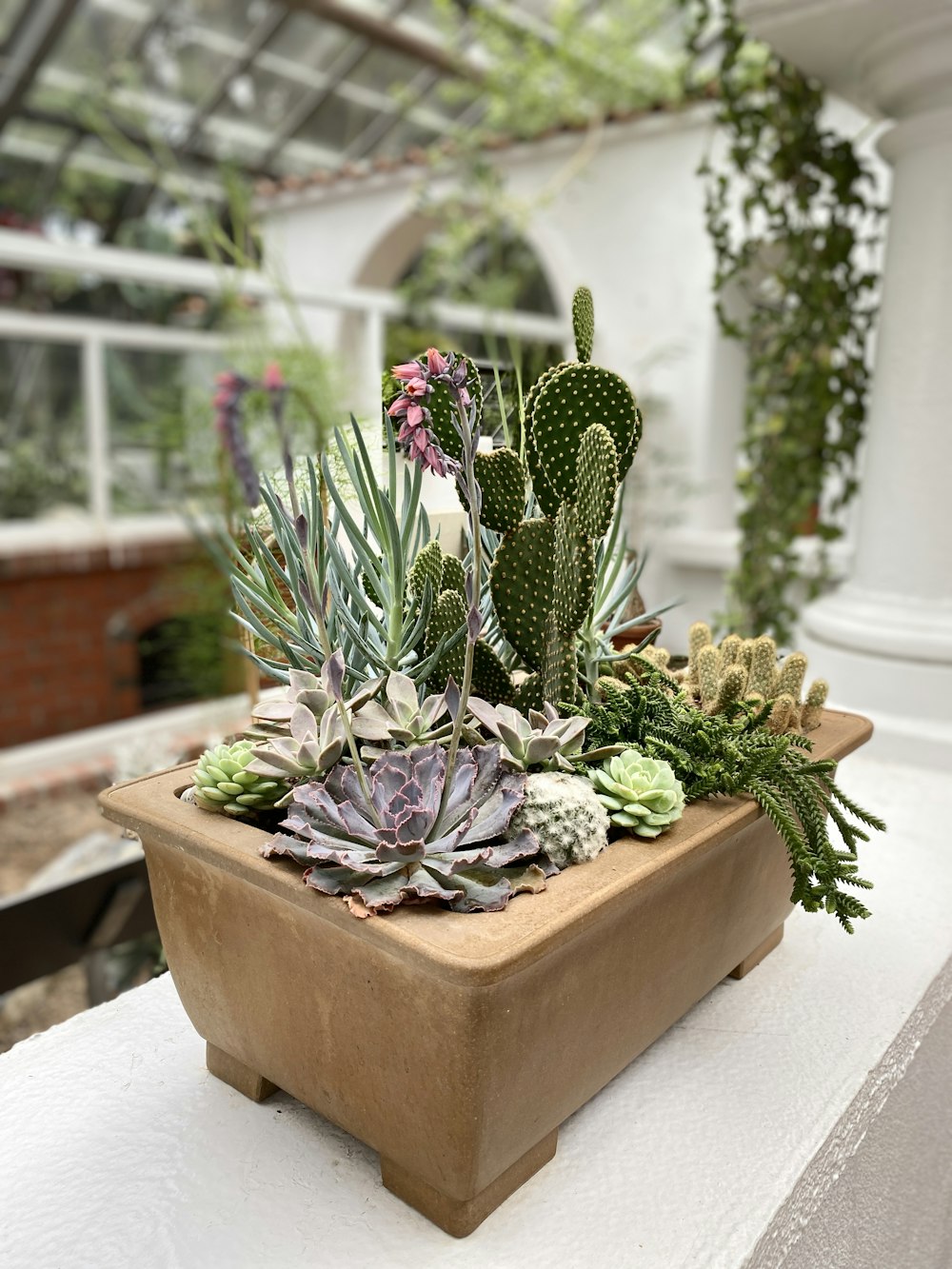 a planter filled with lots of succulents on top of a table