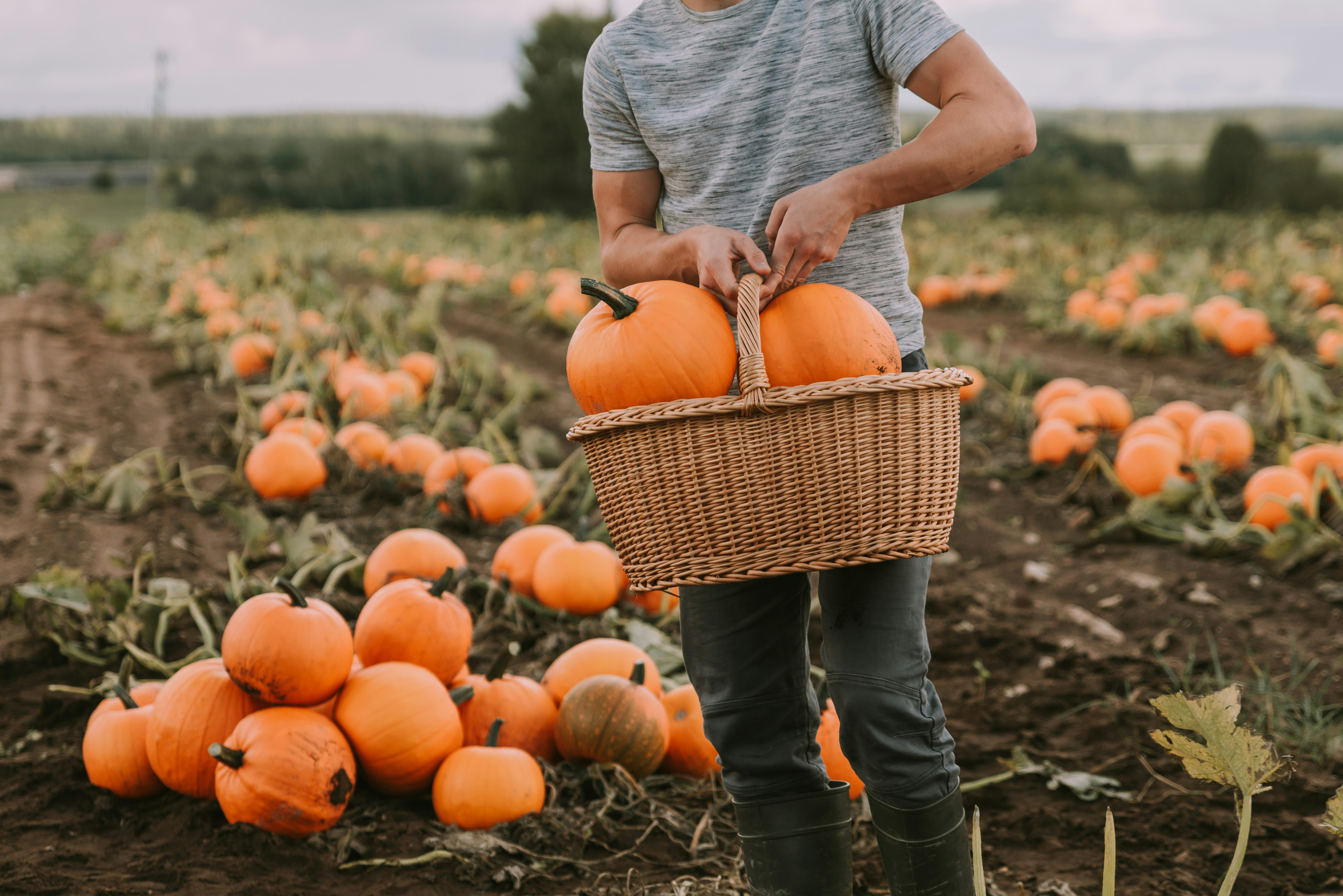 Photo by anitaaustvika