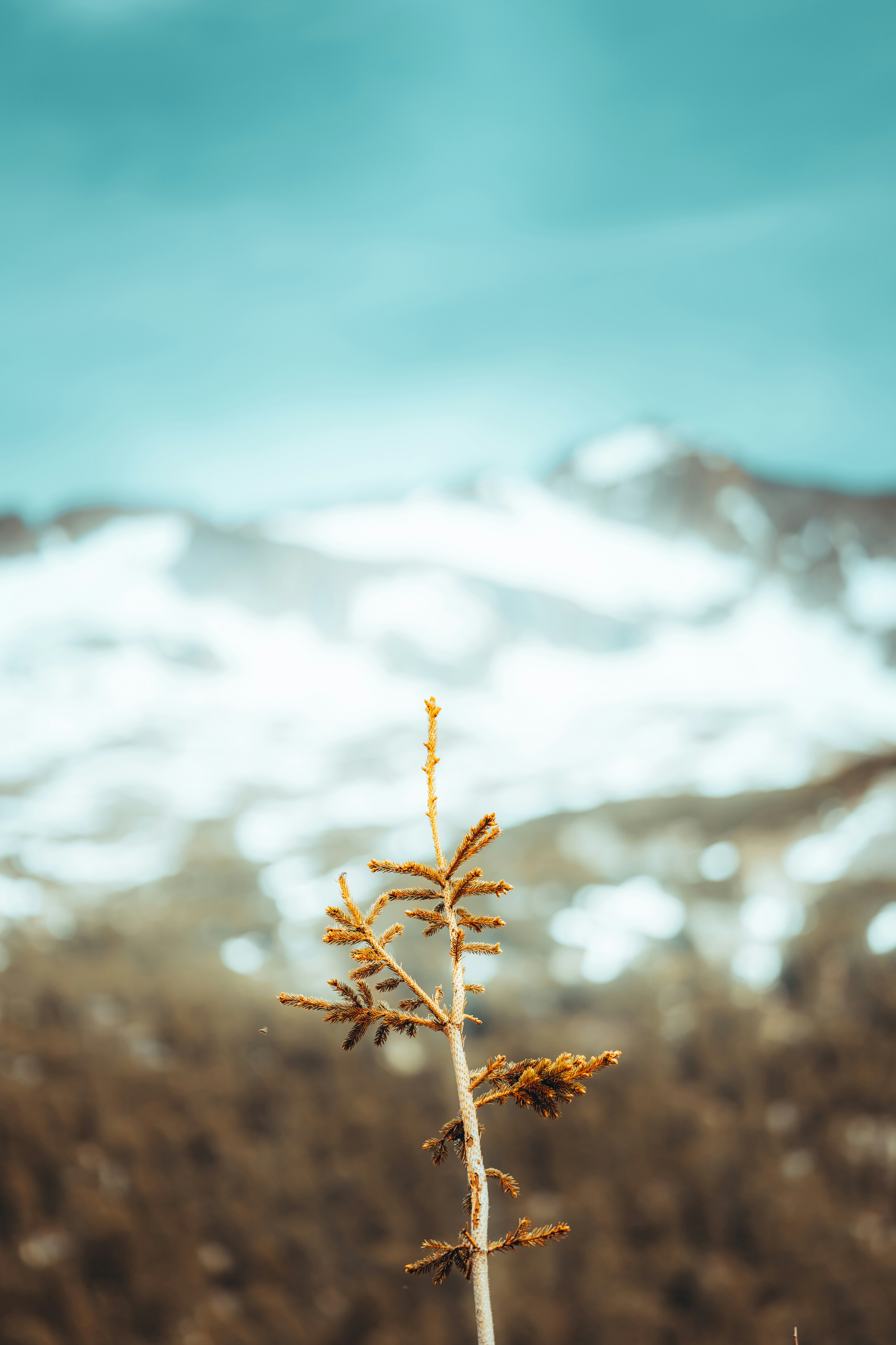 Photo by omarvellous14