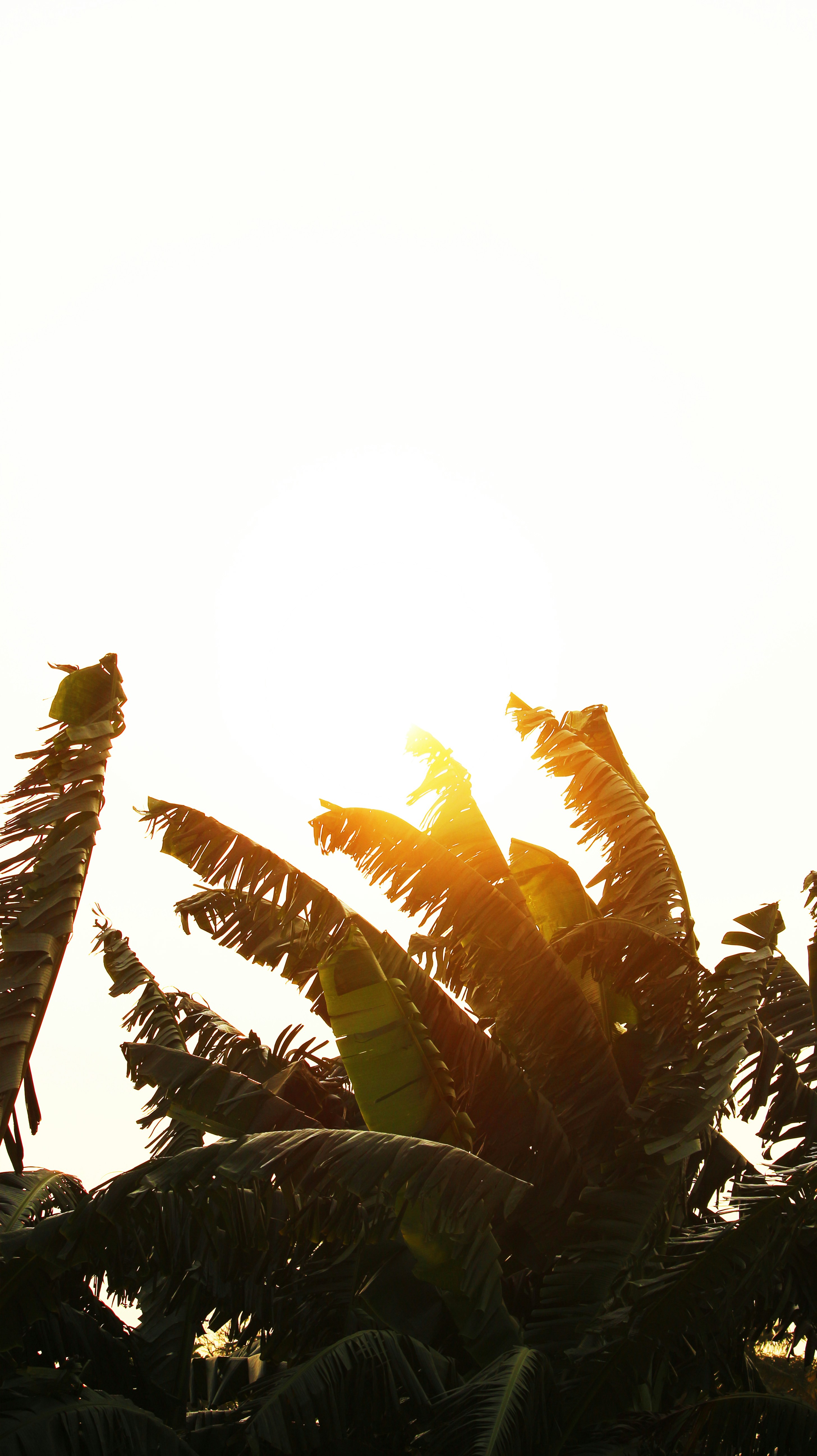 Photo by gilangmahardika