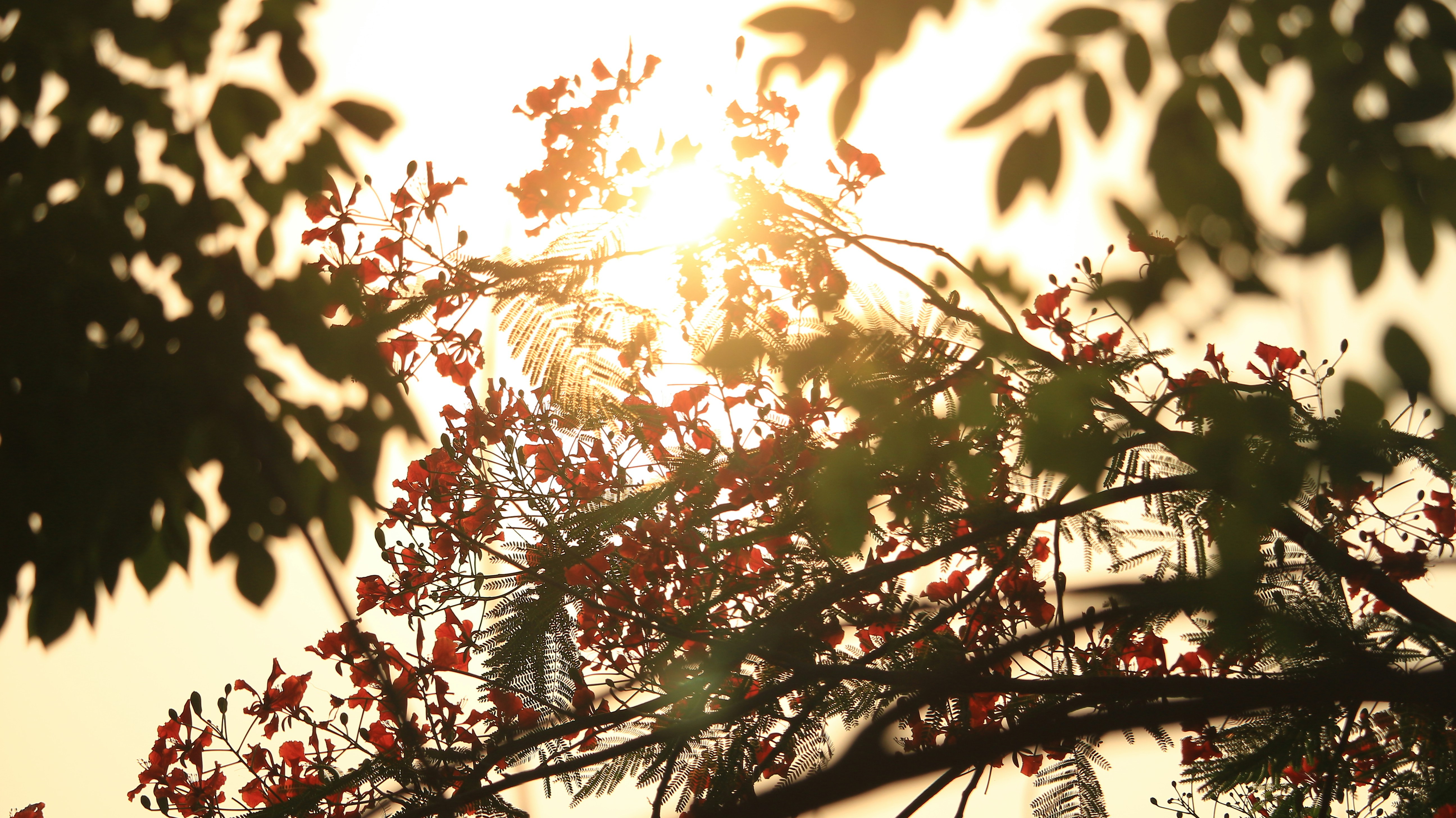 Photo by gilangmahardika