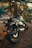A motorcycle is parked on a forested roadside with sunlight filtering through the trees. The focus is on the rear wheel and exhaust pipes, with the setting creating a serene and adventurous atmosphere. The road curves slightly, and another motorcycle is visible in the distance.